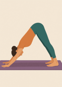 Yoga avant randonnée